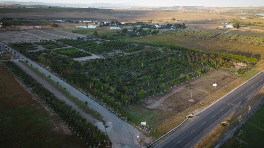 0 Bedroom Property for Sale in Stellenbosch Farms Western Cape